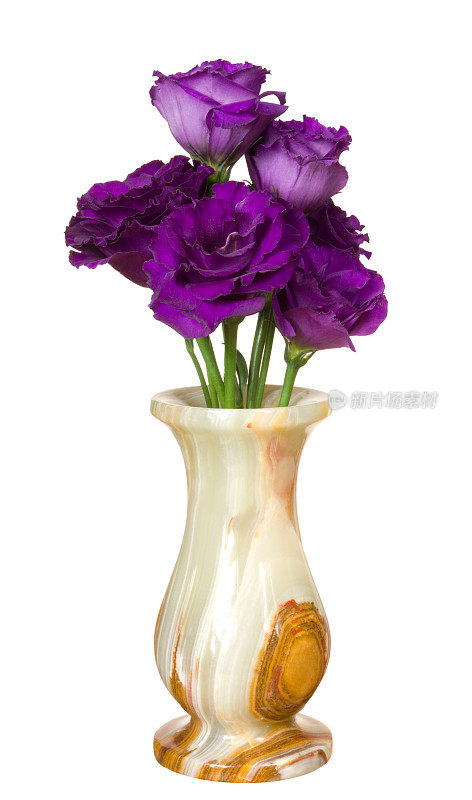 Eustoma (lisianthus)。